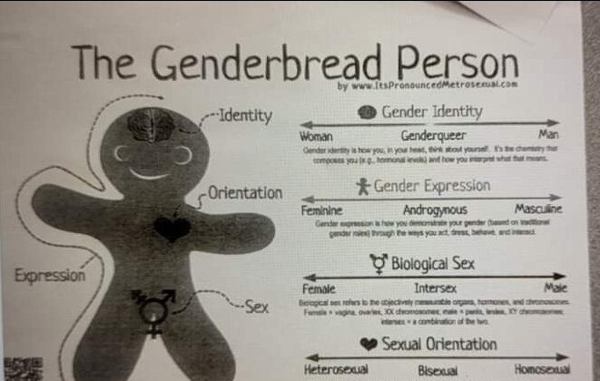 Uma ilustração encorajando as crianças a pensar no gênero como um espectro. Distribuída pela Gorham High School, no Maine, EUA (Cortesia de um estudante da Gorham High School)