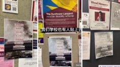 ‘Deixe o mundo conhecer nossa postura’: estudantes chineses no exterior apoiam o protesto do ‘homem da ponte’ de Pequim