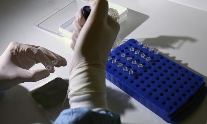 Cientistas trabalham em laboratório para desenvolver uma vacina para o H1N1 (Jeff J. Mitchell/Getty Images)