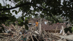 Sobe para 318 número de mortes por terremoto na Indonésia