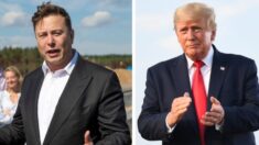 Elon Musk fala sobre situação de Trump no Twitter e libera Jordan Peterson e Kathy Griffin