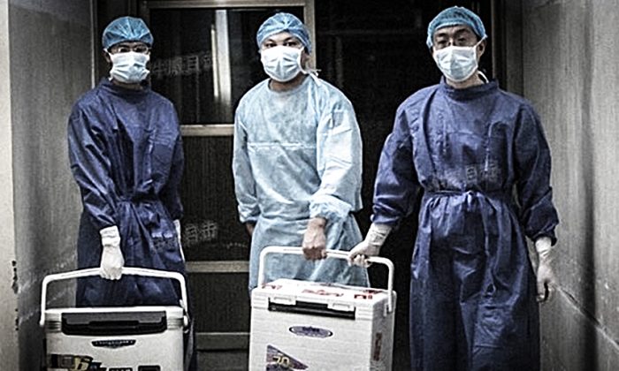 Médicos carregando órgãos para cirurgia de transplante em um hospital na província de Henan em 16 de agosto de 2012. (Captura de tela/Sohu.com)