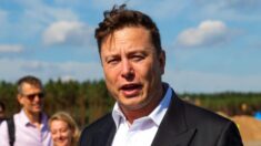 Elon Musk diz que Twitter está sofrendo uma ‘queda maciça na receita’ após pressão de grupos ativistas