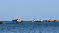 Administração Biden sanciona empresas de pesca chinesas por abusos de direitos humanos