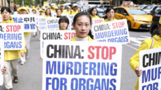 Relatório detalha ‘mal sem precedentes’ da extração forçada de órgãos sancionada pelo regime na China