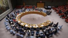 Conselho de Segurança da ONU se reunirá após incidente que matou mais de 100 civis em Gaza