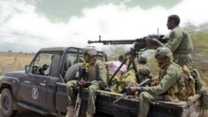 Exército da Somália abate 136 integrantes de grupo jihadista em operação