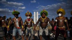 “Os primeiros que vão sofrer serão os povos indígenas” – A luta oculta dos povos indígenas | Entrevista exclusiva – parte 3