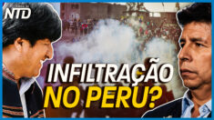 Especialista fala sobre interferência de ex-presidente socialista da Bolívia nos protestos do Peru