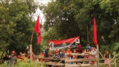 “Carnaval vermelho”: associações rurais repudiam invasões de terra