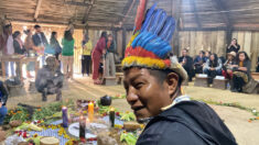 ONU alerta para risco de extinção de povos indígenas na Colômbia
