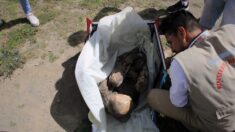 Múmia pré-hispânica é encontrada em mochila de entregador de app no Peru