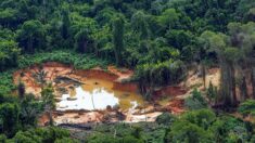 PF deflagra operação contra rede de contrabando de ouro extraído da terra Yanomami