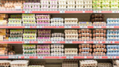 O aumento dos preços dos ovos devido surto de gripe aviária sem precedentes nos Estados Unidos