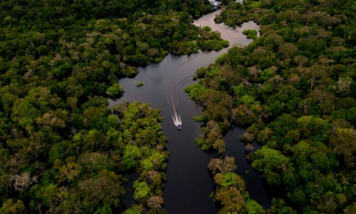 Vista aérea de um barco em alta velocidade no rio Jurura, no município de Carauari, no coração da Floresta Amazônica brasileira, em 15 de março de 2020 (Florence Goisnard/AFP via Getty Images)