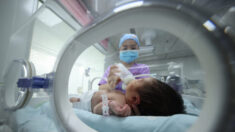 Remoção de rins de bebês chineses soa alarme na ‘máquina de produção’ de órgãos do PCCh, alerta médico