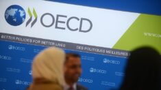 OCDE revisa para baixo as previsões de crescimento do Brasil para 2023 e 2024