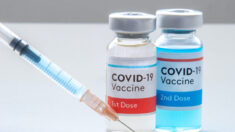Médicos de todo mundo dizem que é hora de parar vacinação contra COVID | Opinião