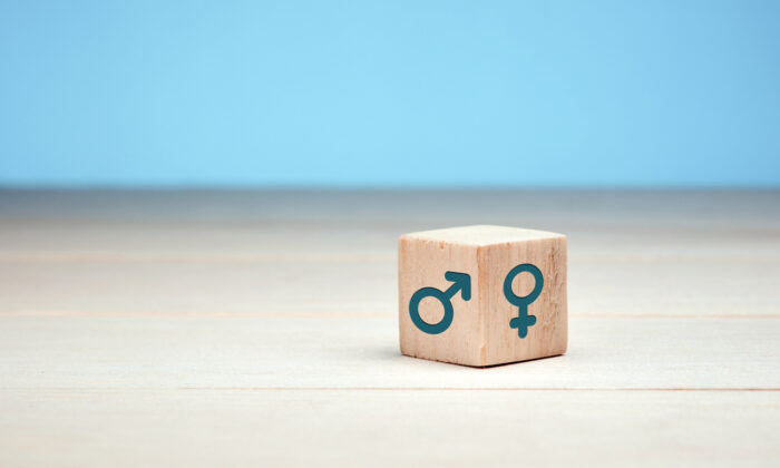 Uma foto de arquivo mostra ícones de gênero masculino e feminino (Shutterstock)
