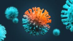 Imunidade natural tem melhor desempenho do que todas as vacinas contra a COVID: revisão sistemática e meta-análise