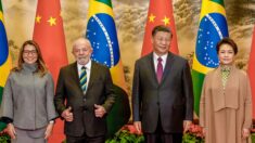Mercado brasileiro se aproxima da China enquanto se afasta da Europa