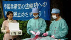 Prisioneiros e fetos abortados são vendidos para uso médico na China | Carta ao editor