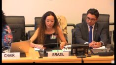 Brasil revisa políticas de proteção das liberdades fundamentais em comitê da ONU