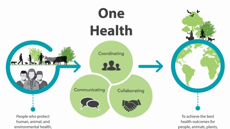 A definição One Health. (CDC/Centro Nacional para Doenças Infecciosas Emergentes e Zoonóticas)