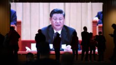 Rússia e China devem liderar ‘reforma de governança global’ , diz Xi Jinping