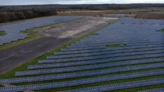 Atraso na implantação de fazendas solares no Reino Unido para reduzir a emissão de carbono até 2035 