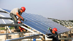 ‘Segredo sujo’: painéis solares fabricados na China produzem 3 vezes mais emissões de carbono do que afirma ONU: estudo