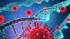 Estudo: vacinas de mRNA contra a COVID contaminadas com DNA 