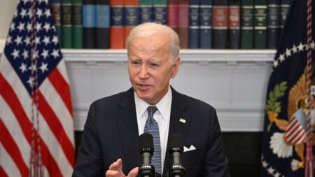 Biden quer acelerar licenças de trabalho a migrantes ilegais após críticas de seu partido