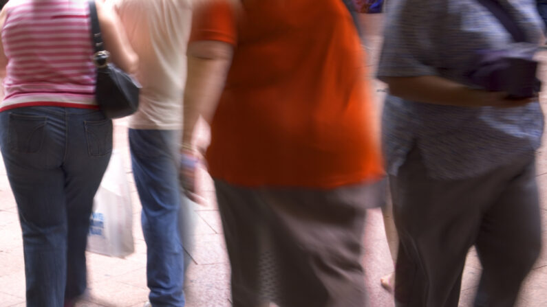 A obesidade é um risco multilateral para a saúde humana (travellight/Shutterstock)