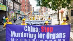 O genocídio do PCCh contra o Falun Gong continua | Opinião
