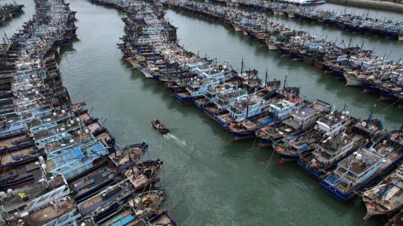 Barcos de pesca estão ancorados em um porto na localidade de Gaoqi, na cidade de Xiamen, na província de Fujian, em preparação para a aproximação do tufão Doksuri em 26 de julho de 2023. China em 26 de julho de 2023 (Foto de -/AFP via Getty Images)