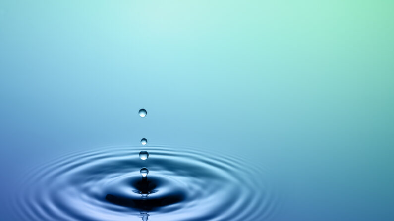 Água (Trutta/Shutterstock)

