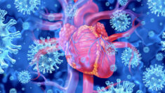 Miocardite causada pela proteína spike da vacina contra COVID-19 muitas vezes não é detectada por testes cardíacos comuns