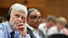 O aumento das temperaturas não representa uma ‘ameaça existencial para a humanidade’, diz o novo chefe de mudanças climáticas da ONU