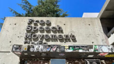 Liberdade de expressão versus discurso da escola de Frankfurt | Opinião