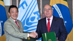 Brasil e FAO assinam acordos para aumentar cooperação em agricultura