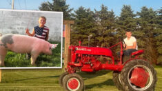 Menino de 10 anos compra trator antigo para ajudar seus pais na fazenda