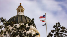 Projeto de lei sobre tráfico sexual infantil na Califórnia é aprovado no Legislativo e encaminhado ao gabinete do governador Newsom