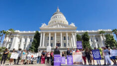 Pais californianos lançam iniciativas eleitorais que se opõem à ideologia de gênero