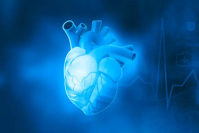 Ilustração de coração (Explode/Shutterstock)
