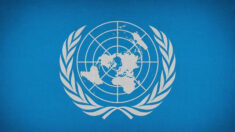 A nova declaração política da ONU sobre pandemias | Opinião