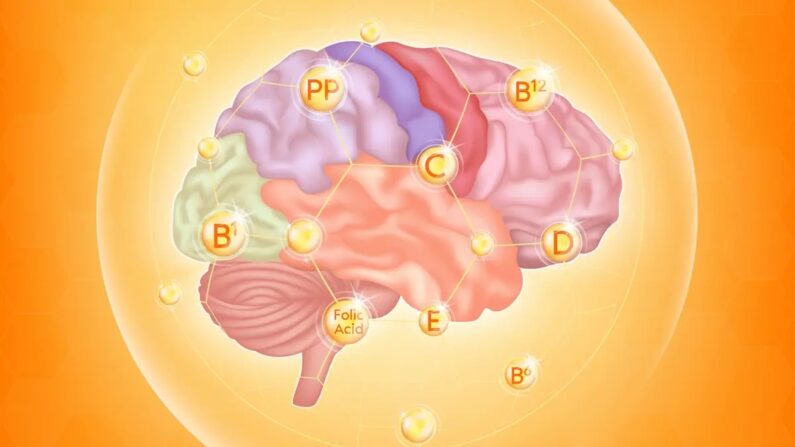 Vitaminas e suas atuações no cérebro (Adisak Riwkratok/Shutterstock)

