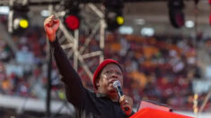 Julius Malema e a malevolência deliberada do marxismo | Opinião