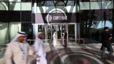 Começa em Dubai a COP28, maior cúpula climática da ONU da história