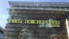Comissão Europeia diz que negociações com Mercosul estão “muito avançadas”